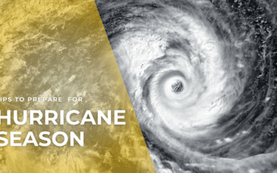 Hurricane Preparedness for NewHomeowners in South Carolina