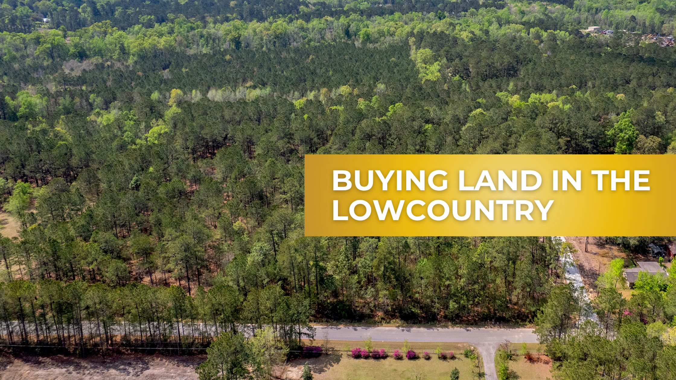 5 Things to Look for When Buying Land in the Lowcountry